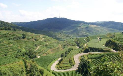 Landgasthof Zum Lamm Bahlingen  Kültér fotó